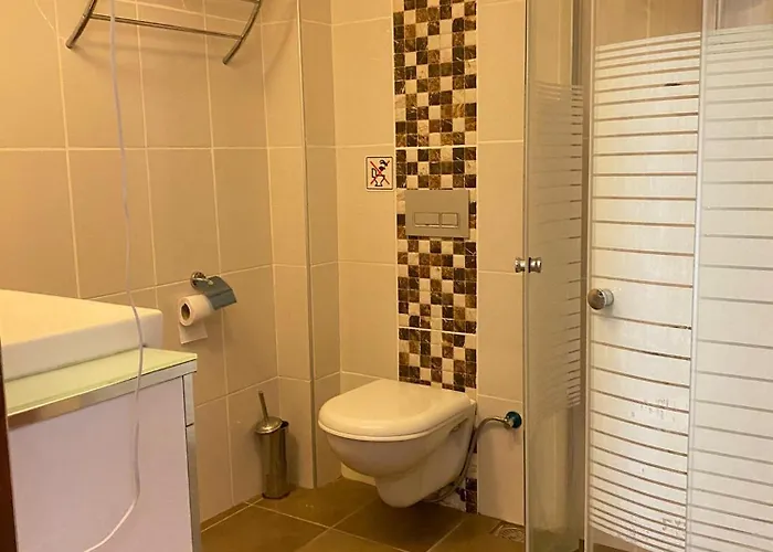 Moonstar Ayyildiz オルデニズ