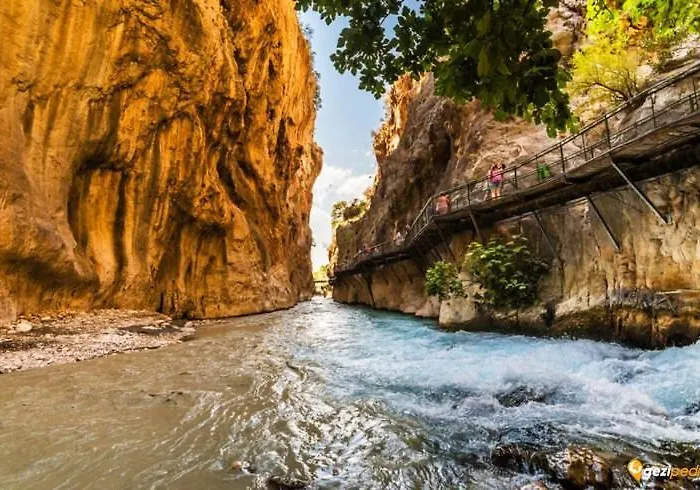 Moonstar Ayyildiz ホームステイ *