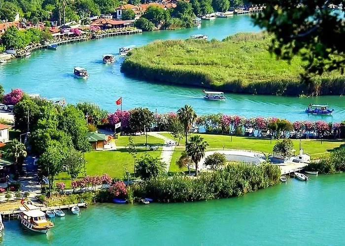 Moonstar Ayyildiz ホームステイ