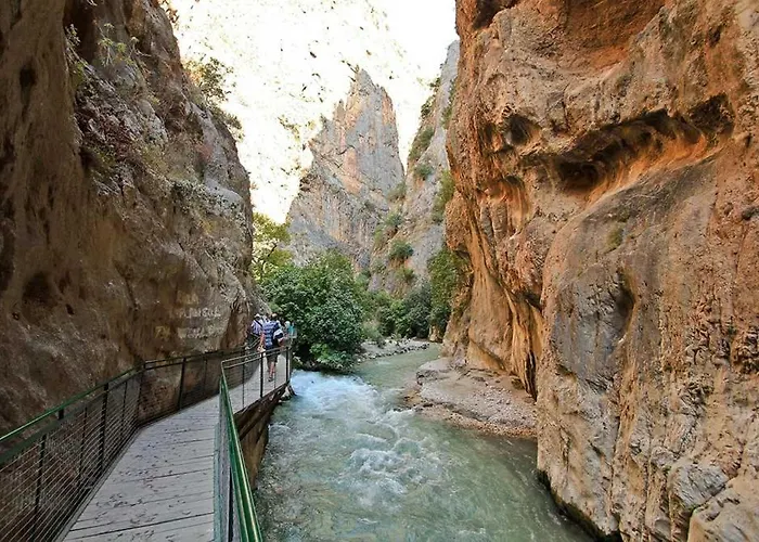 Moonstar Ayyildiz オルデニズ