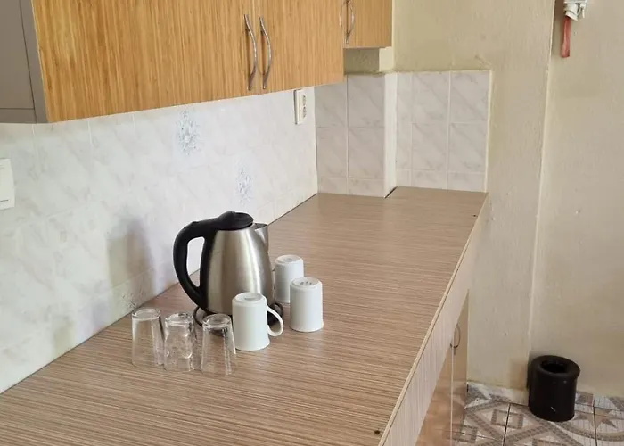 ホームステイ Moonstar Ayyildiz オルデニズ