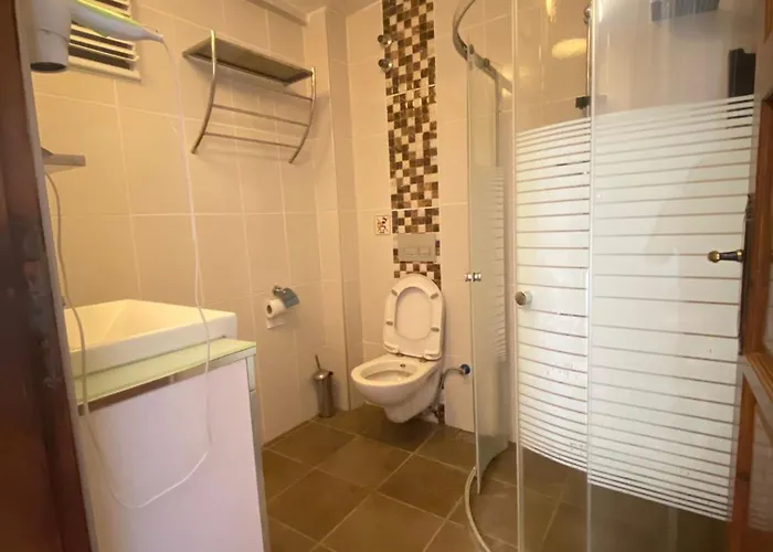 Moonstar Ayyildiz ホームステイ オルデニズ