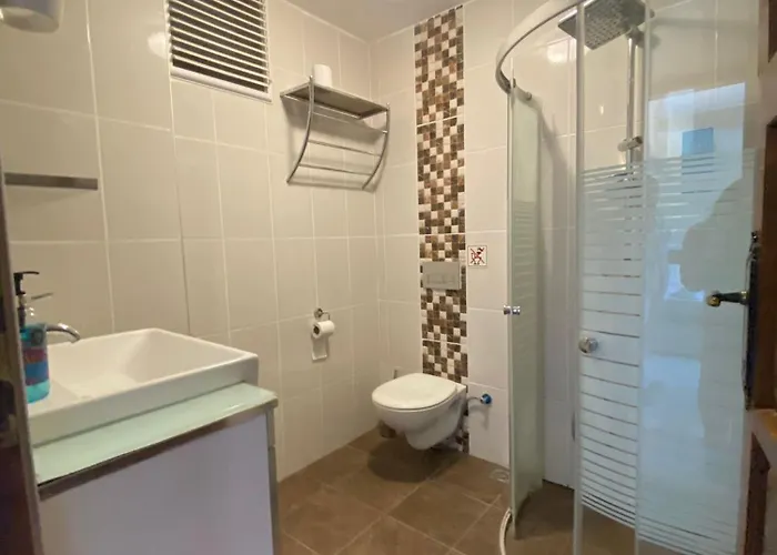 Moonstar Ayyildiz ホームステイ *