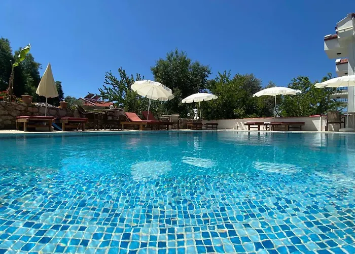 Moonstar Ayyildiz ホームステイ オルデニズ