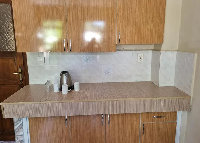 Moonstar Ayyildiz ホームステイ *