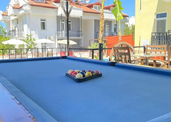 Moonstar Ayyildiz ホームステイ