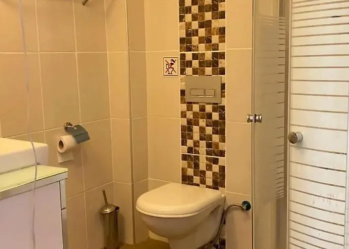 Moonstar Ayyildiz ホームステイ