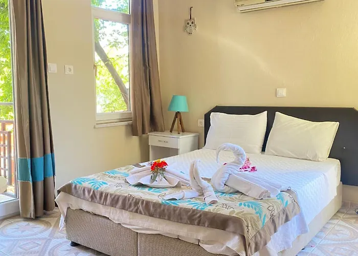 Moonstar Ayyildiz ホームステイ