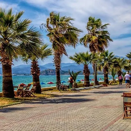 Moonstar Ayyıldız