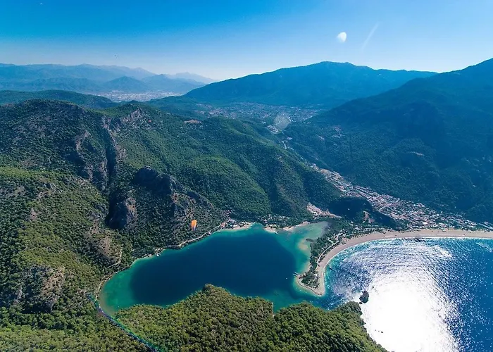 Moonstar Ayyildiz *